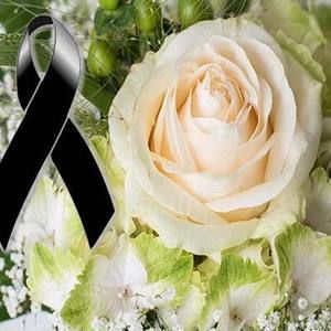 Meet your Posher, Gaby h